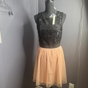 Lauren Conrad snow globe lace and tulle dress